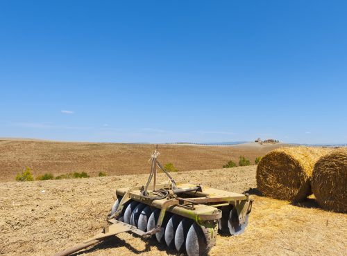 jhaperosagricolas-05